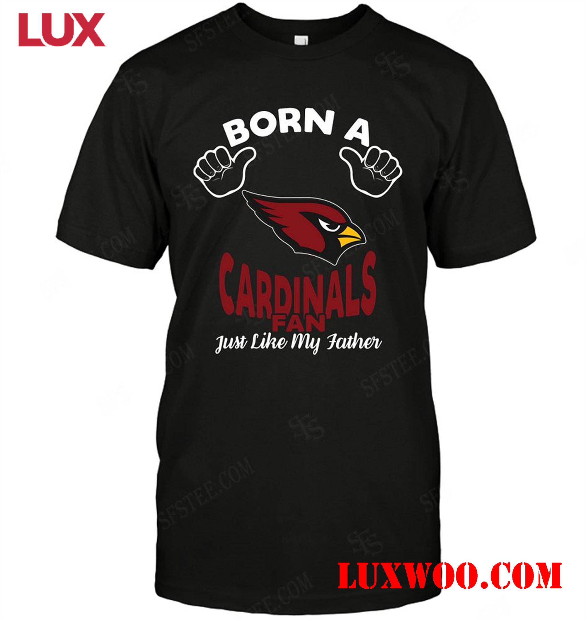 Nfl Arizona Cardinals Born A Fan Just Like My Father 