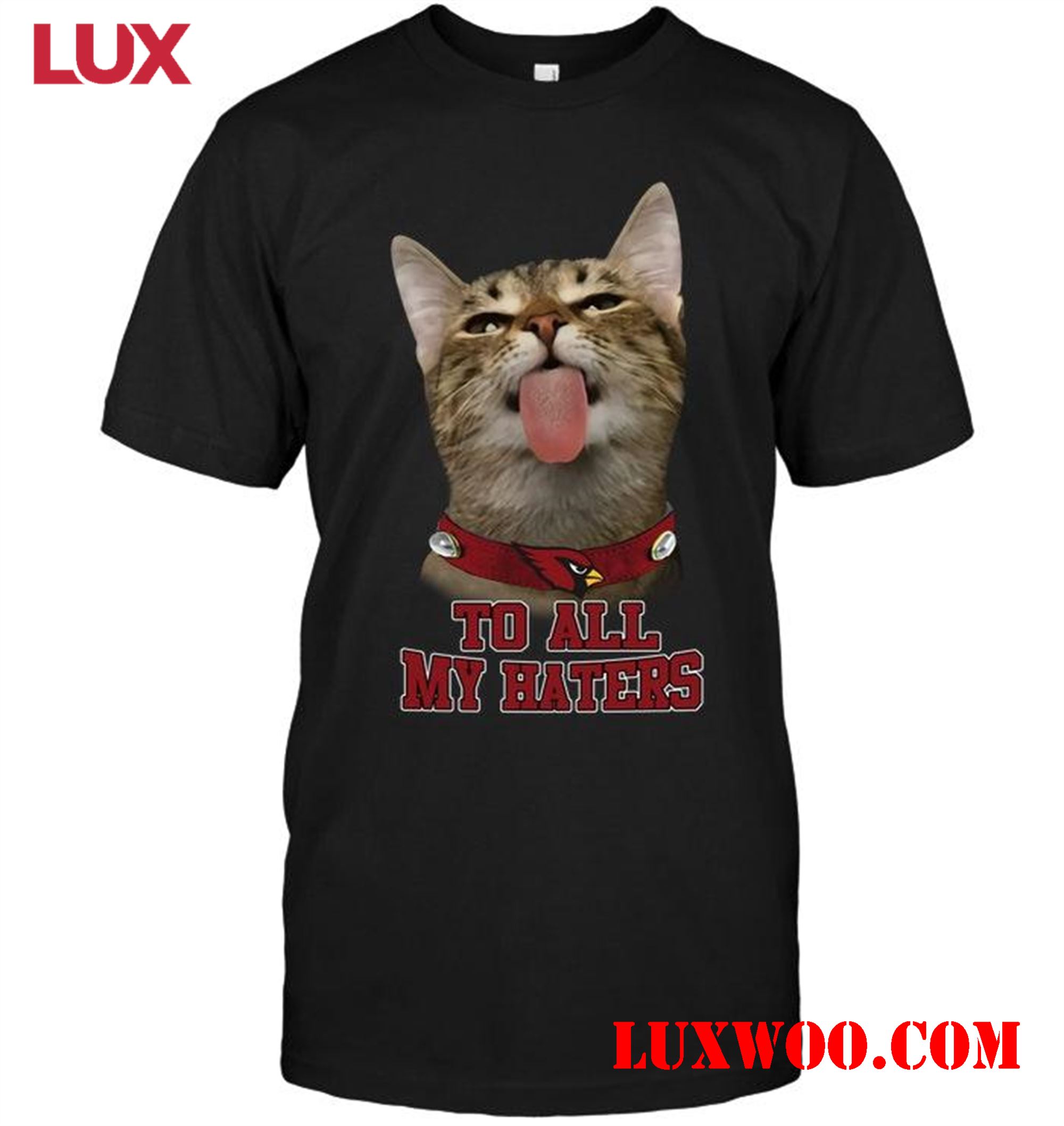 Nfl Arizona Cardinals Cat To All My Haters Shirt 