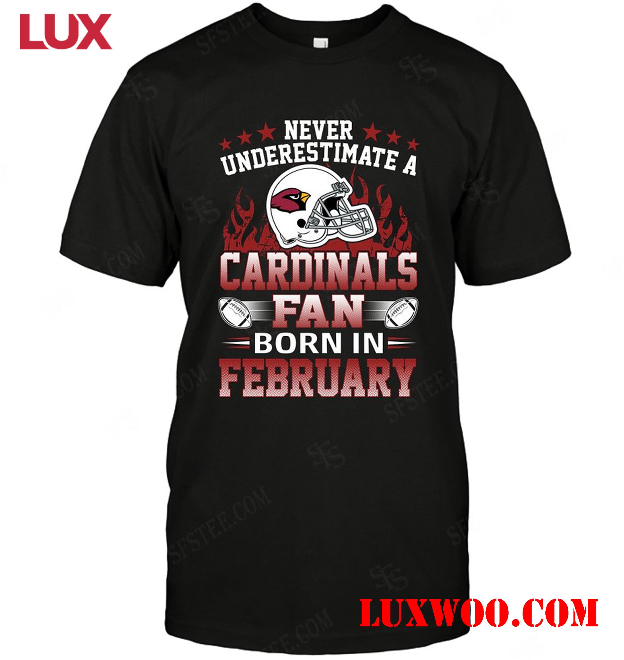Nfl Arizona Cardinals Never Underestimate Fan Born In February 