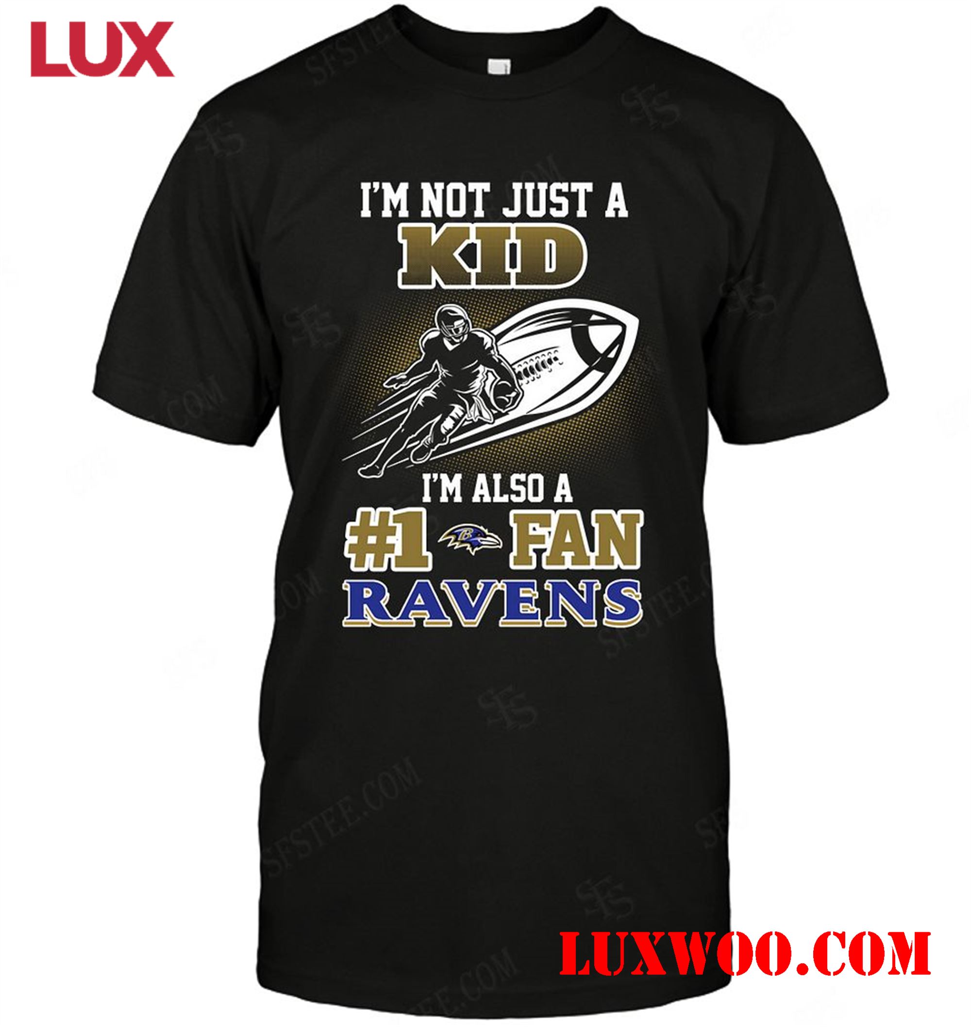 Nfl Baltimore Ravens Not Just Kid Also A Fan 