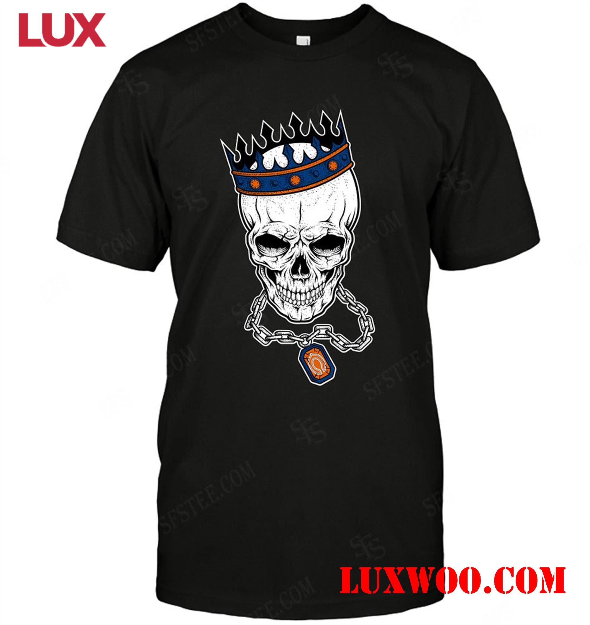 Nfl Chicago Bears Skull Rock With Crown 