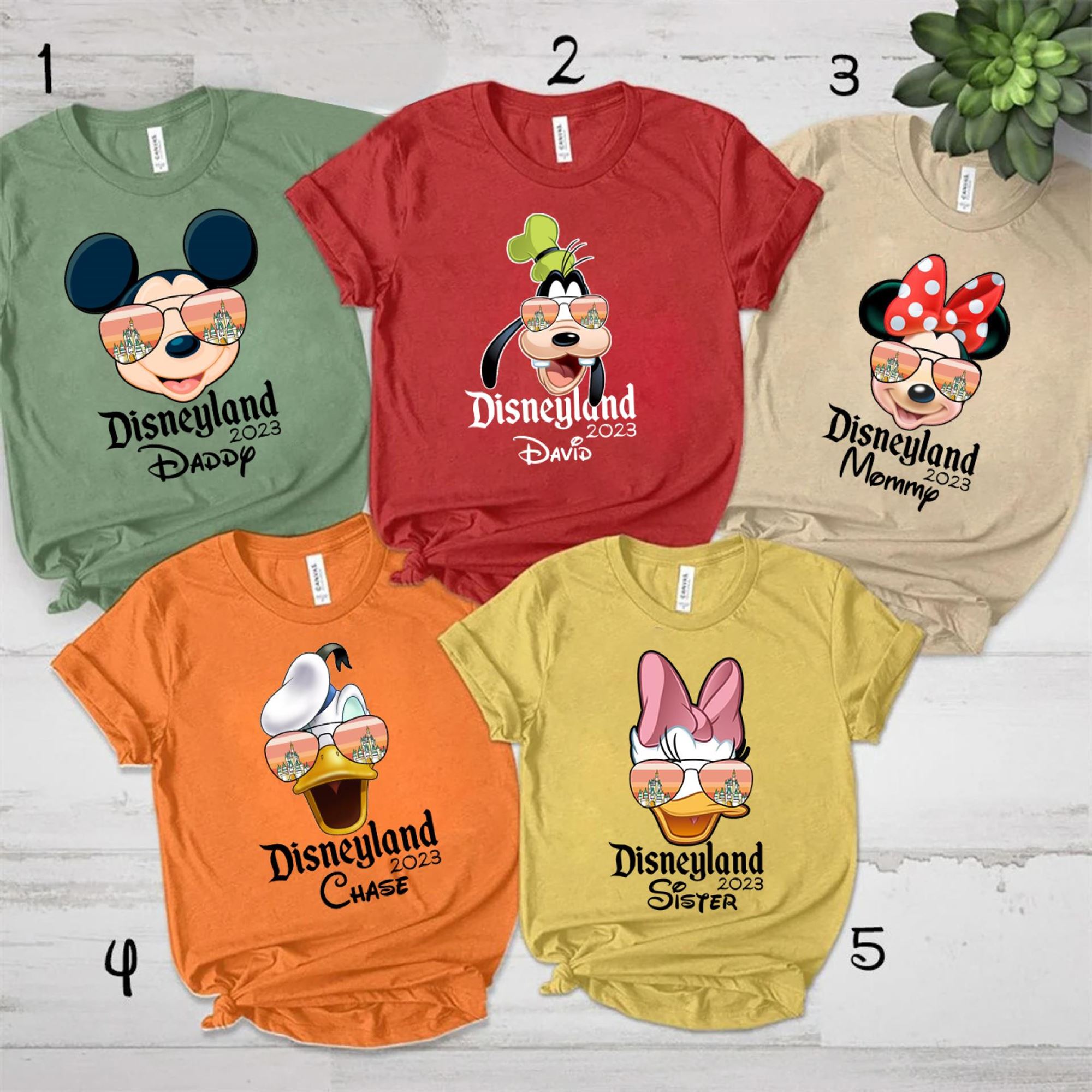 Individualized Disneyland Family Matching Shirts 