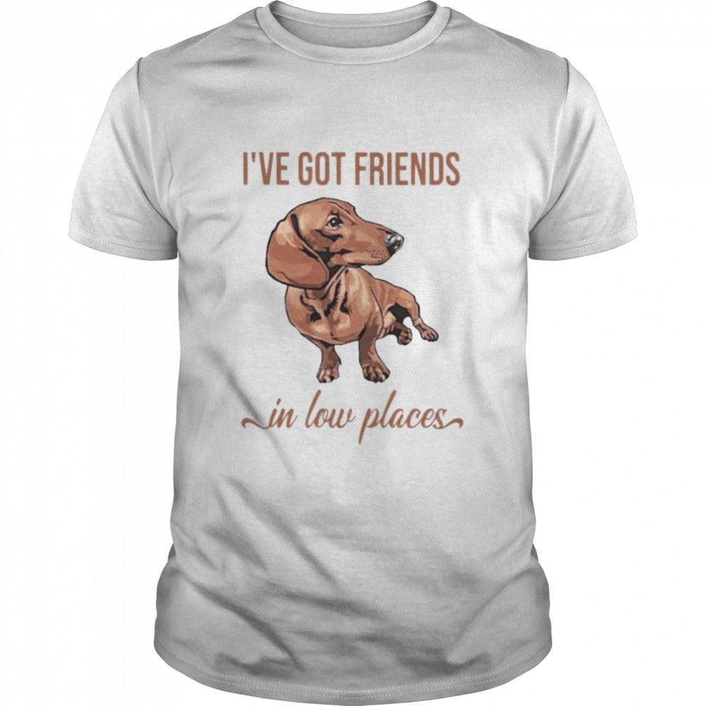 Attractive Ive Got Friends In Low Place Shirt 