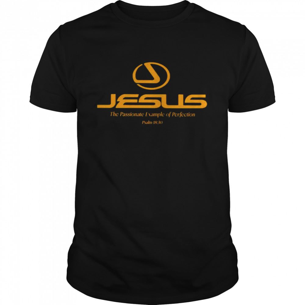 Attractive Jesus The Passionate Example Of Perfection Shirt 