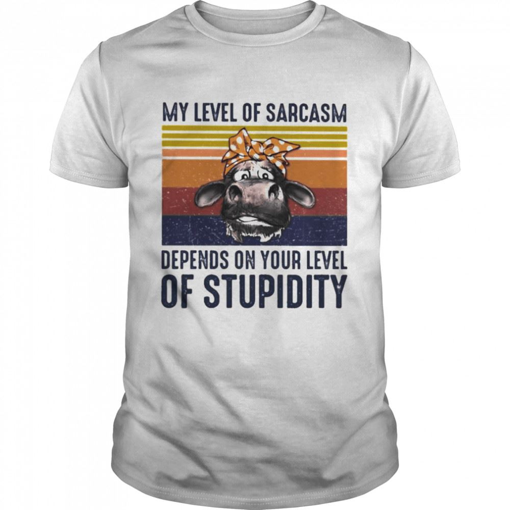 Happy Horse My Level Of Sarcasm Depends On Your Level Of Stupidity Vintage Shirt 
