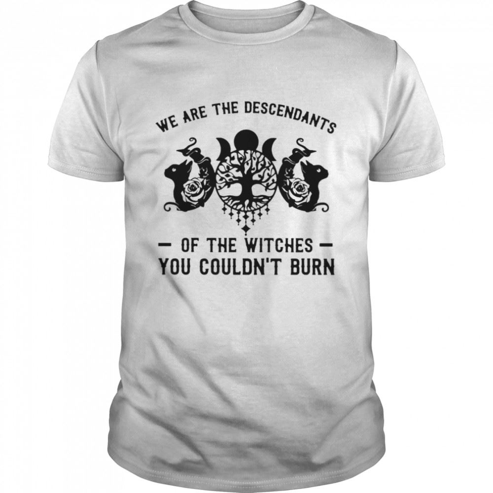 Awesome We Are Descendants Of The Witches You Couldnt Burn Shirt 