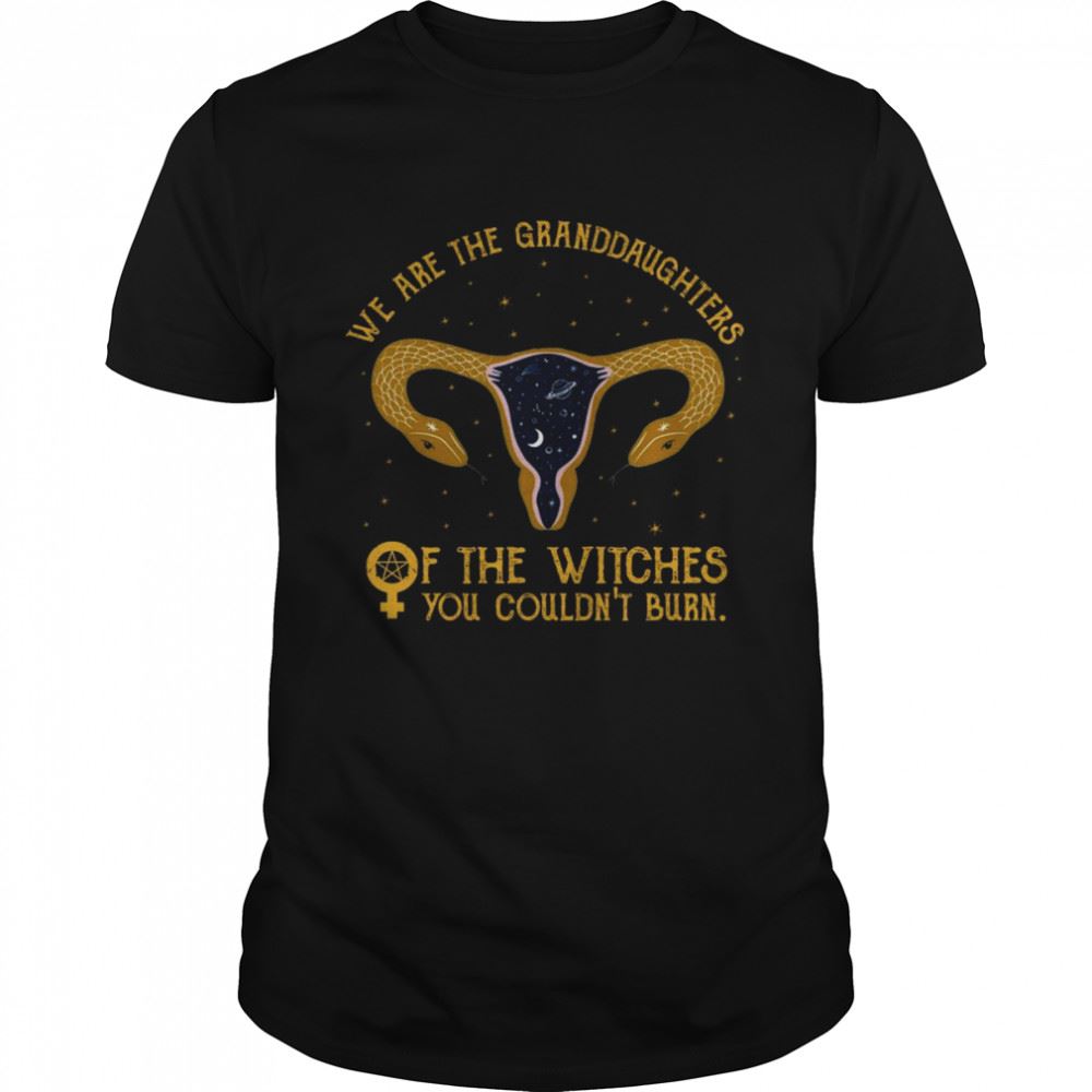 Special We Are The Granddaughters Of The Witches You Couldnt Burn Shirt 