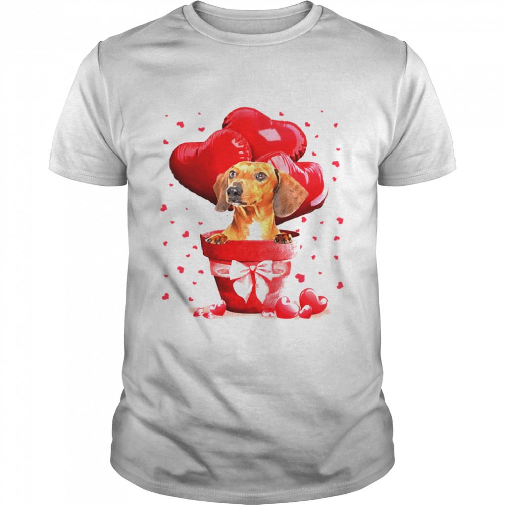 Attractive Valentine Pot Red Dachshund Dog Shirt 