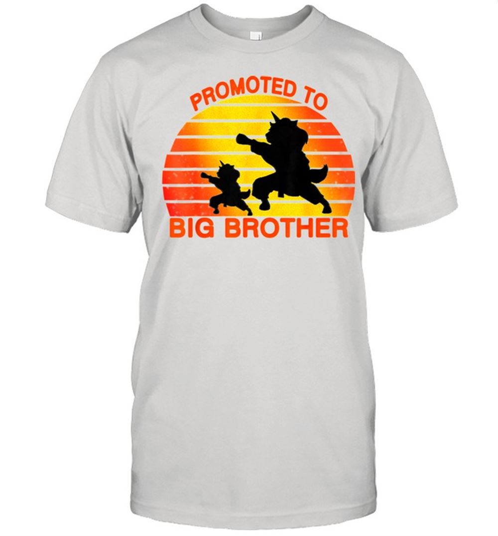 Special Promoted To Big Brother 2021 Leveled Up To Big Brother Again Shirt 