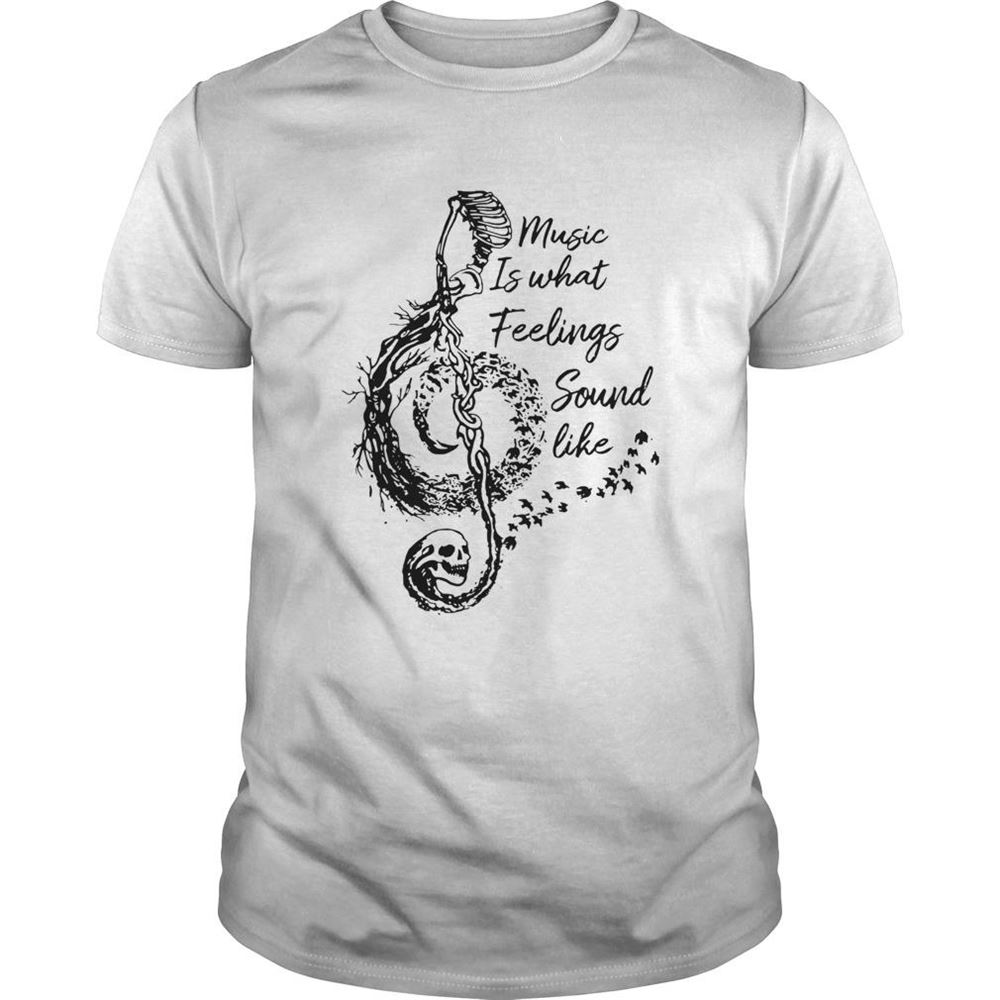 Interesting Music Is What Feelings Sound Like Shirt 