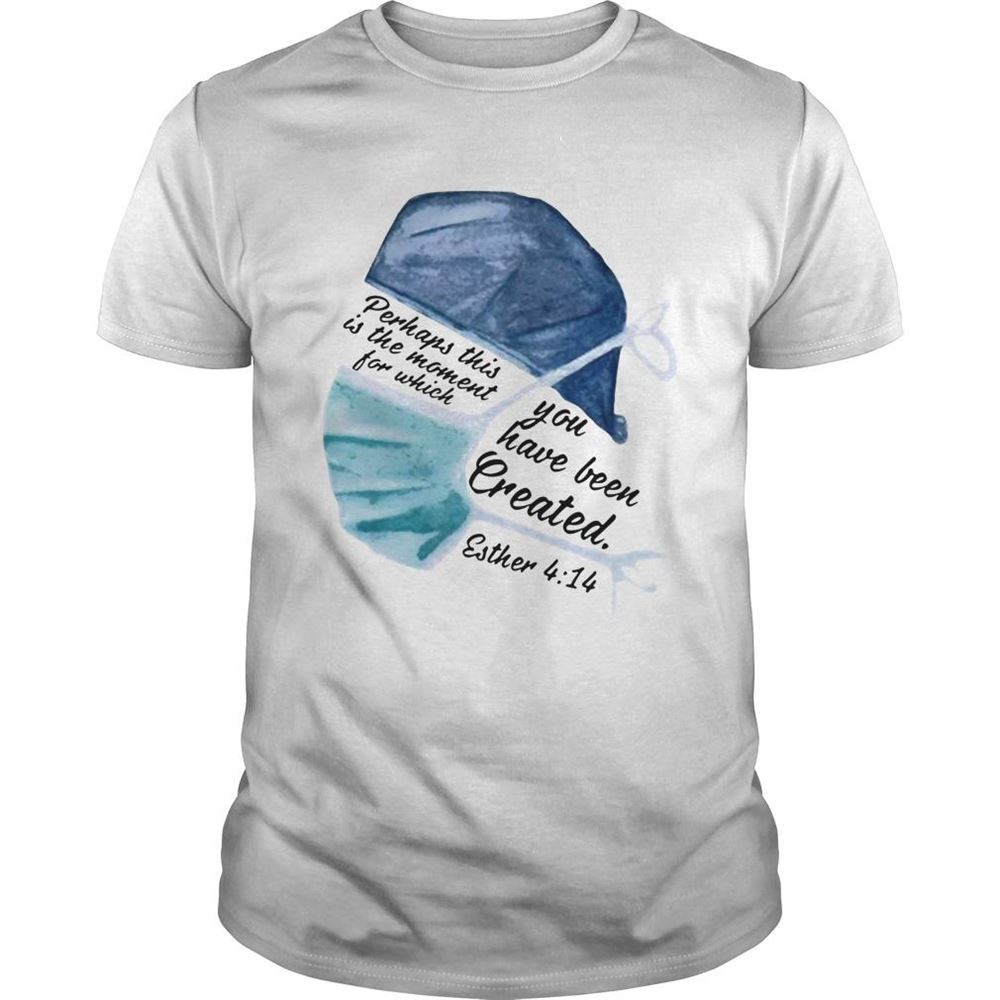 Happy Perhaps This Is The Moment For Which You Have Been Created Nurse Shirt 