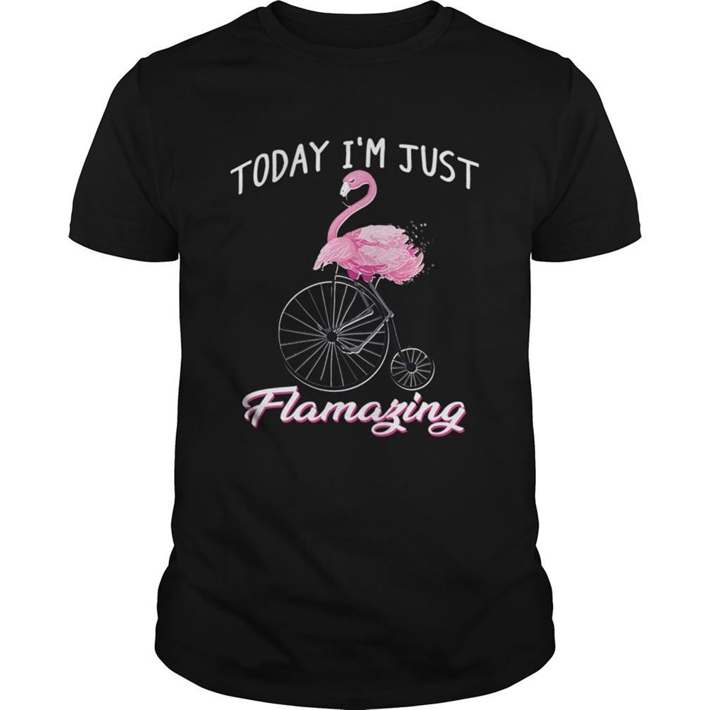 Promotions Today Im Just Flamazing Flamingo Tshirt 