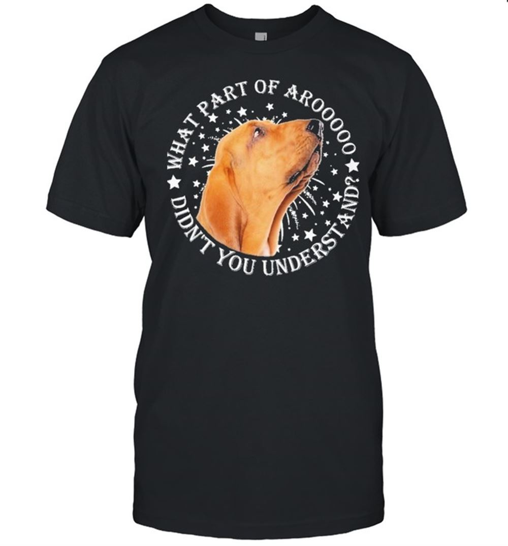 Amazing Bloodhounds What Part Of Aroooooo Didnt You Understand Shirt 