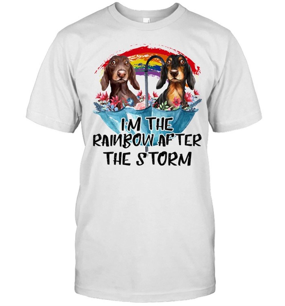 Limited Editon Dachshund Im The Rainbow After The Storm Shirt 