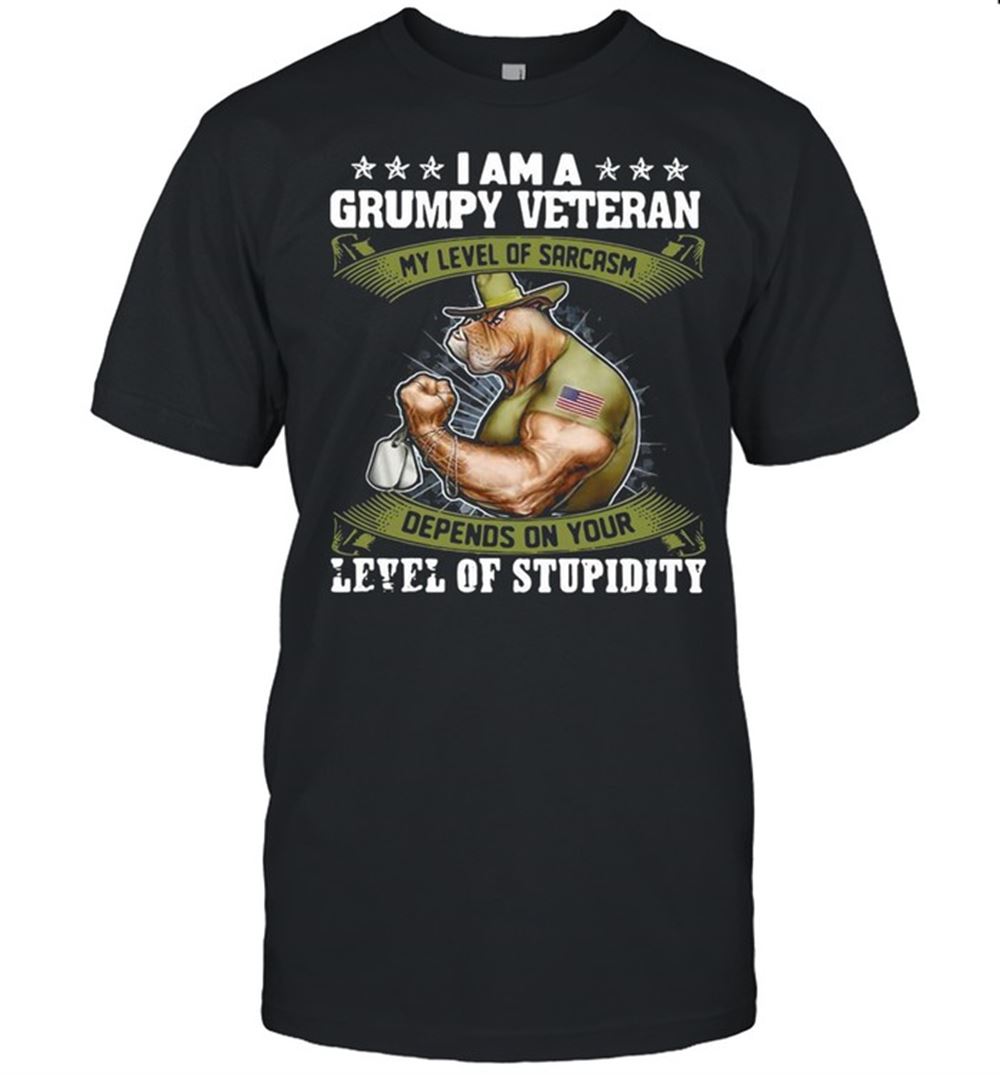 Attractive I Am A Grumpy Veteran My Level Of Sarcasm Depends On Your Level Of Stupidity T-shirt 