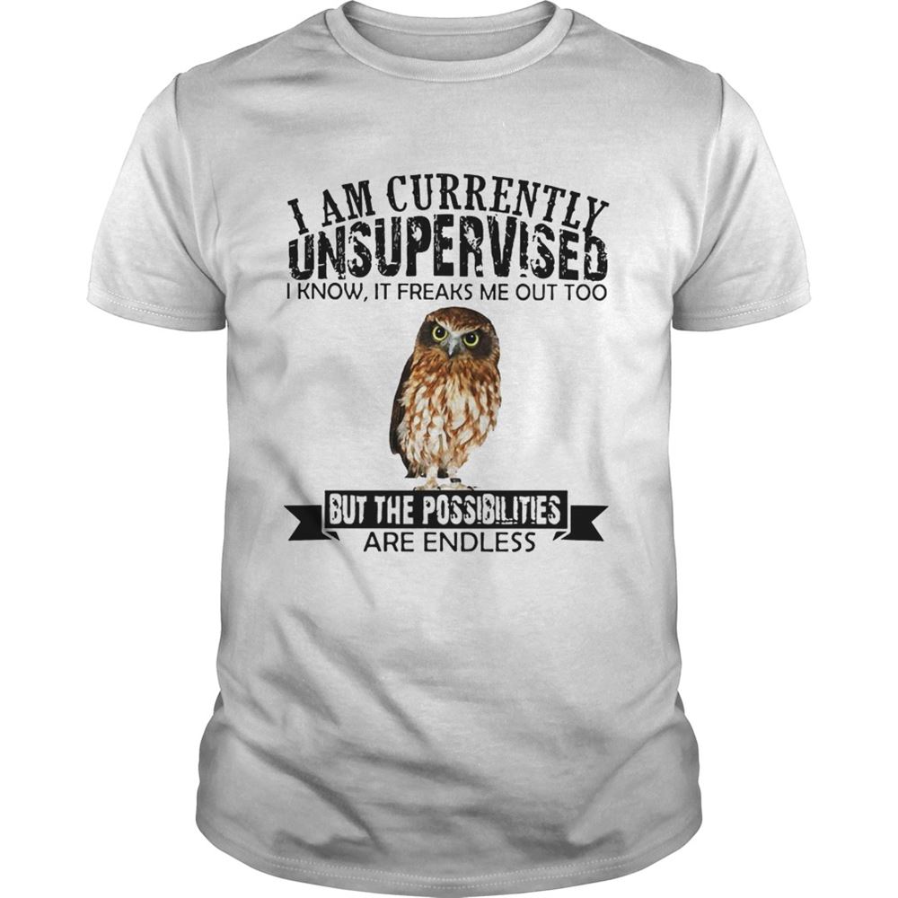 Interesting Burrowing Owl I Am Currently Unsupervised I Know It Freaks Me Out Too But The Possibilities Are Endless Shirt 