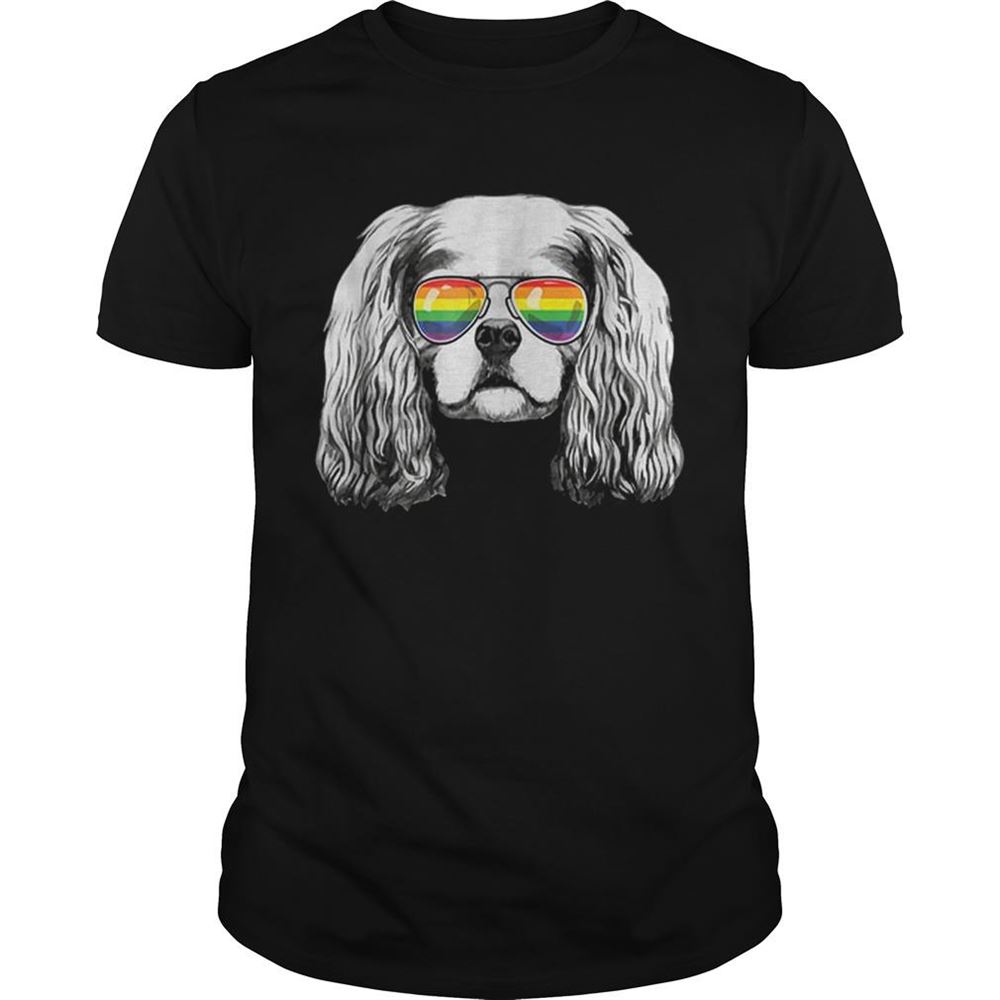 Best Cavalier King Charles Spaniel Gay Pride Flag Sunglasses Shirt 