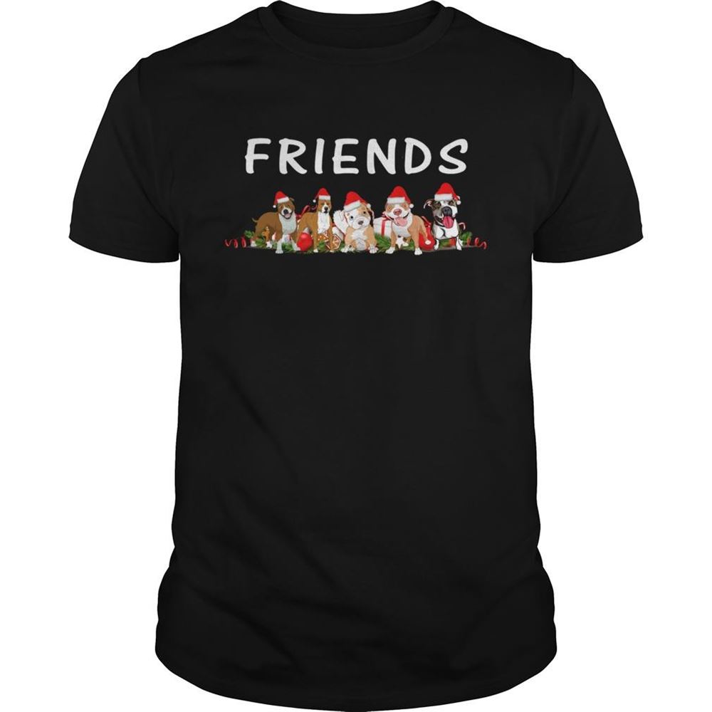 Attractive Dogs Christmas Friends Shirt 
