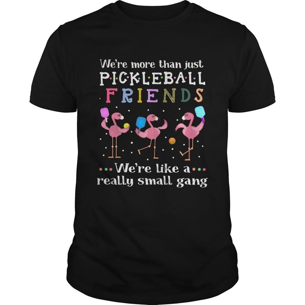 Attractive Flamingos Were More Than Just Pickleball Friends Were Like A Really Small Gang Shirt 