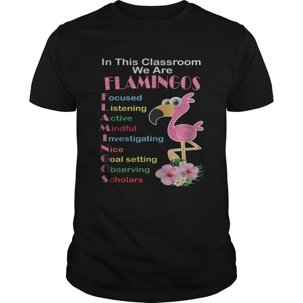 Great In This Classroom We Are Flamingo Focused Listening Active Mindful Shirt 