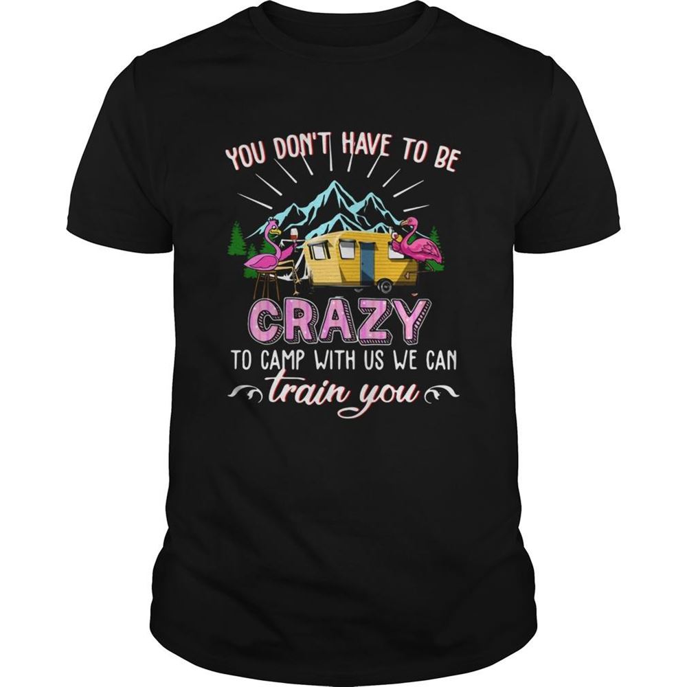 Gifts Flamingos You Dont Have To Be Crazy To Camp With Us We Can Train You Shirt 