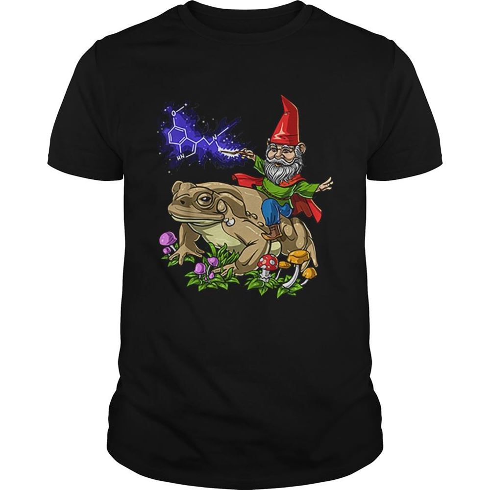 Attractive Gnome Riding Bufo Alvarius Toad Chemistry Witch Christmas Shirt 