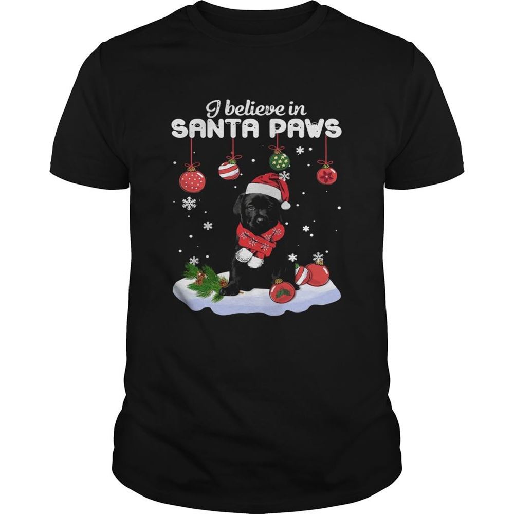 Interesting I Believe In Santa Paws Christmas Shirt 