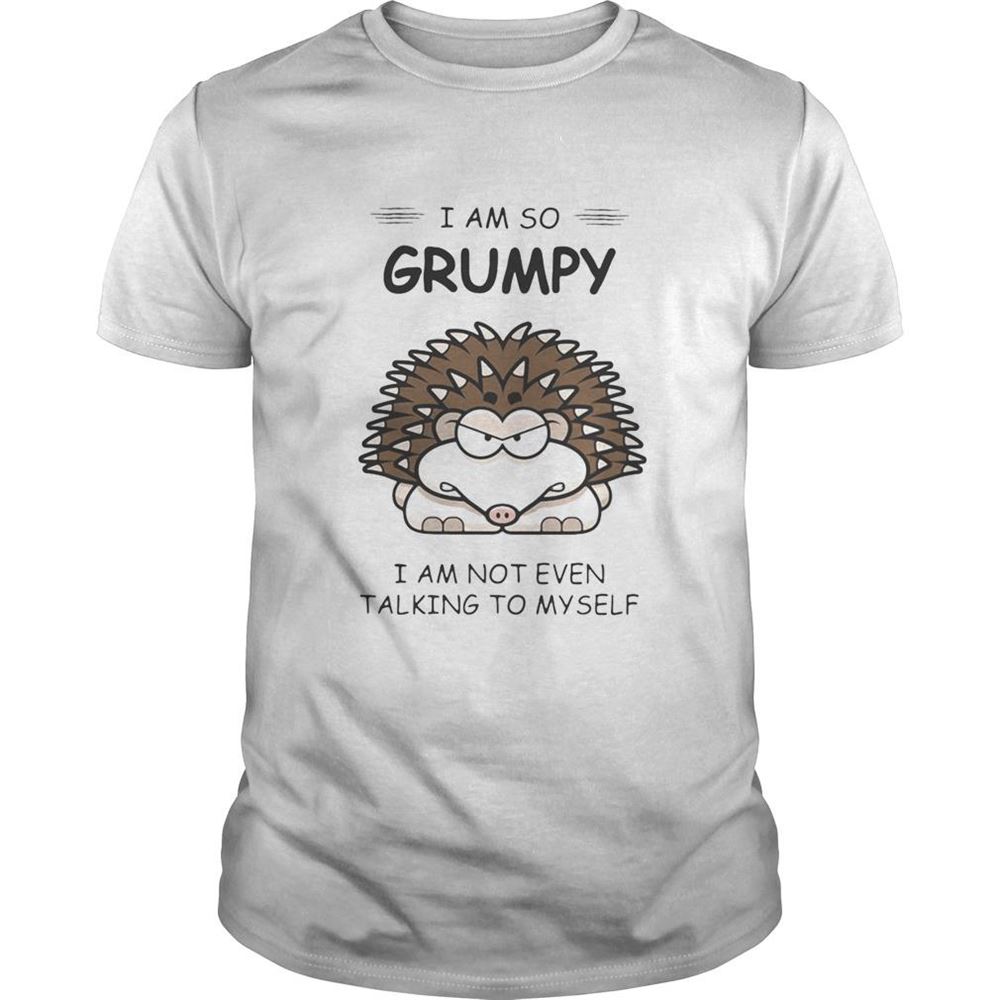 Awesome Hedgehog I Am So Grumpy I Am Not Even Talking To Myself 2020 Shirt 