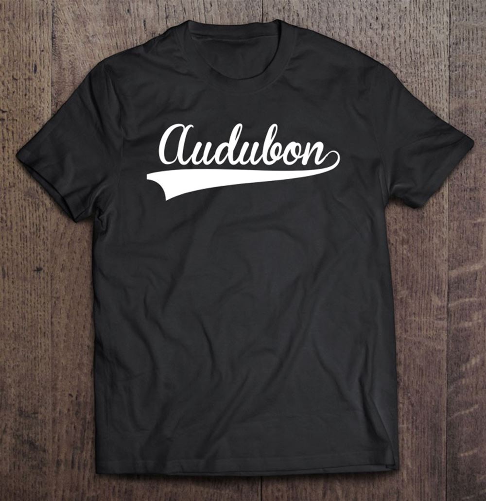 Special Audubon Baseball Vintage Retro Font 