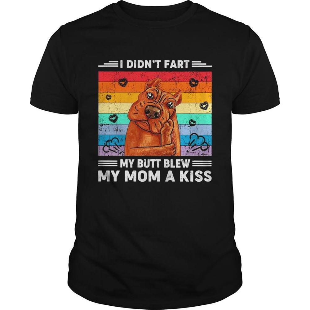 Special I Didnt Fart My Butt Blew My Mom A Kiss Vintage Shirt 